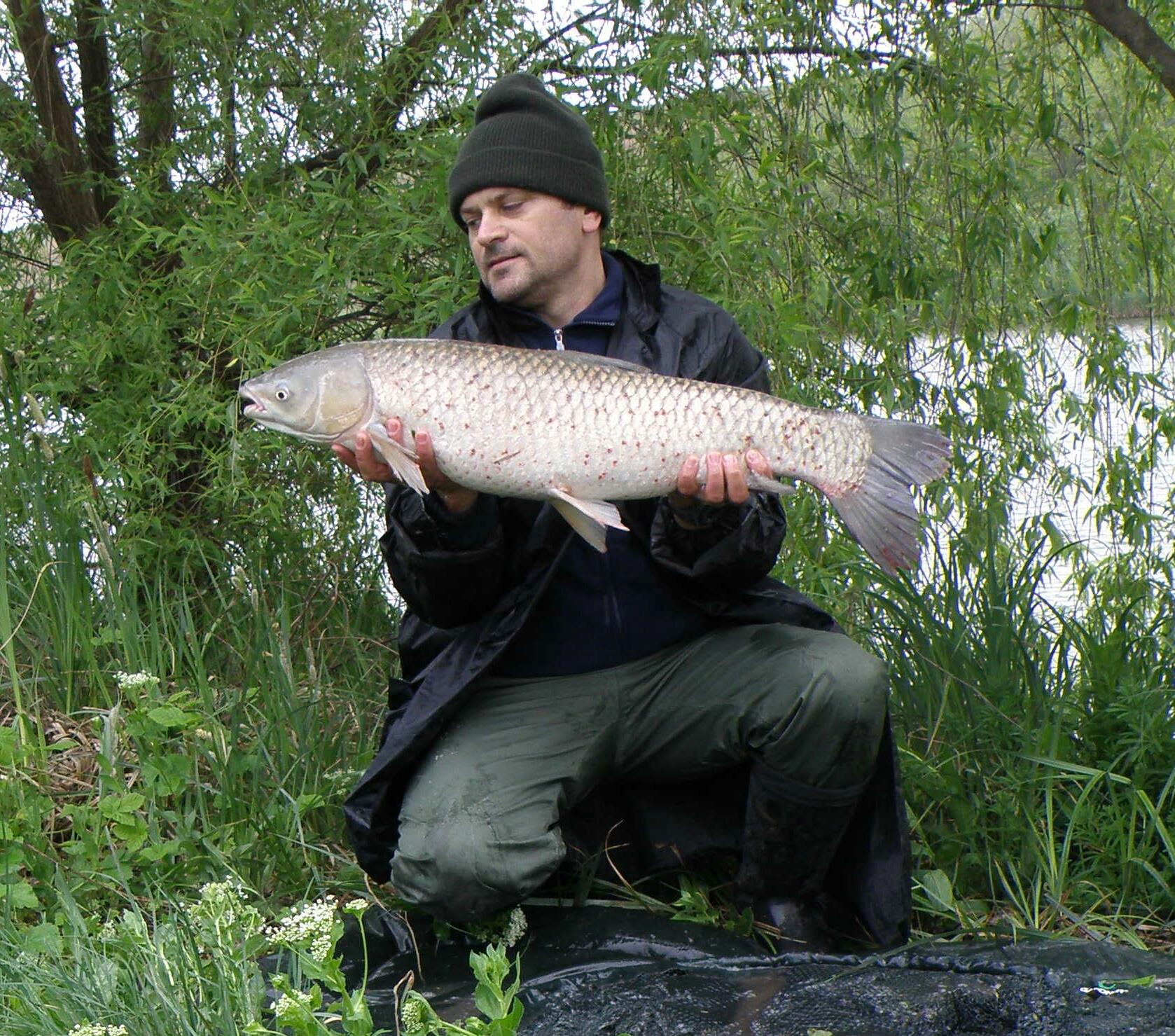 Magura 9 15 - 16 aprilie 2016 - 025-1.jpg